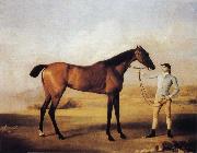 George Stubbs Molly Longlegs with Jockey oil